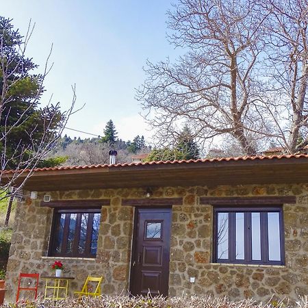 Γήλοφος Villa Ano Trikala Exterior foto