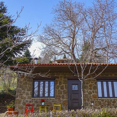Γήλοφος Villa Ano Trikala Exterior foto